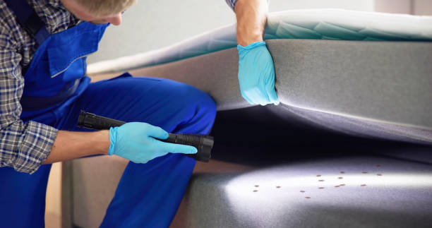 Pest Control for Restaurants in Bayou Blue, LA