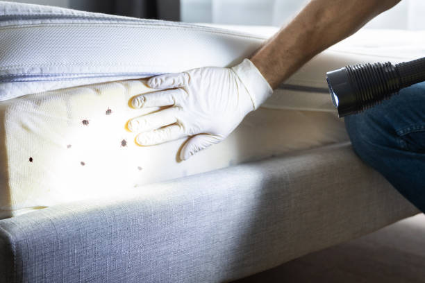 Best Pest Prevention Services  in Bayou Blue, LA