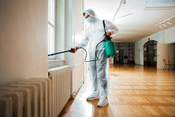 Best Rat Extermination Near Me  in Bayou Blue, LA
