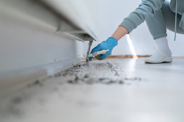  Bayou Blue, LA Pest Control Pros