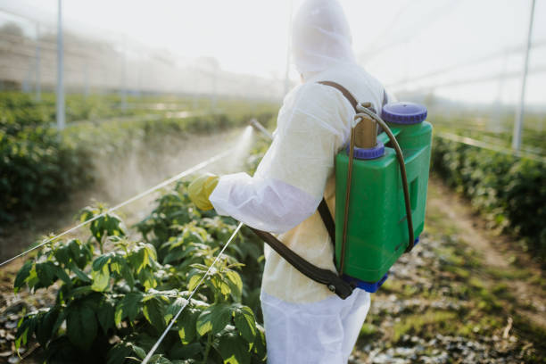 Insect Control in Bayou Blue, LA